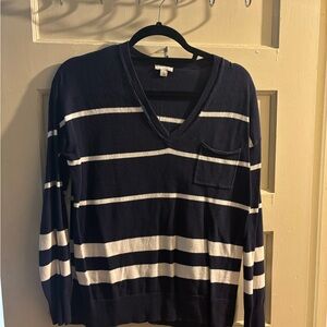 GAP Dark Blue and White Striped V-Neck Sweater